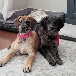 Meet your Posher, Amber